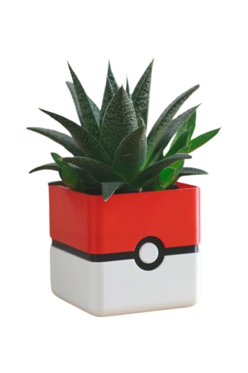 Poké Ball Succulent Planter - 3D Printed Mini Plant Pot