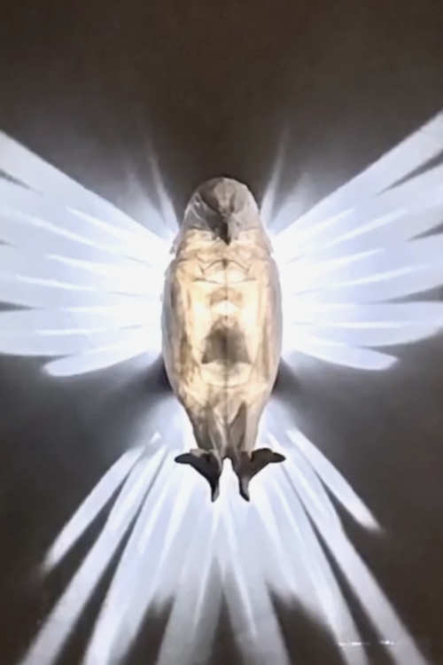 OwlGlow Projection Lamp - 3D Printed Ambient Light